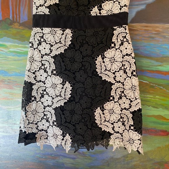 Alice + Olivia Patrice A-Line Lace Dress Black White Size Size 8 - Picture 5 of 14
